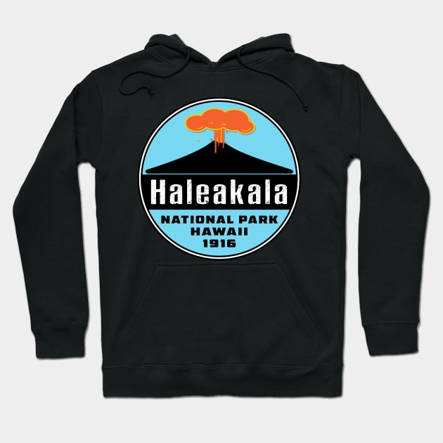 Haleakala National Park Hawaii Hoodie by TravelTime